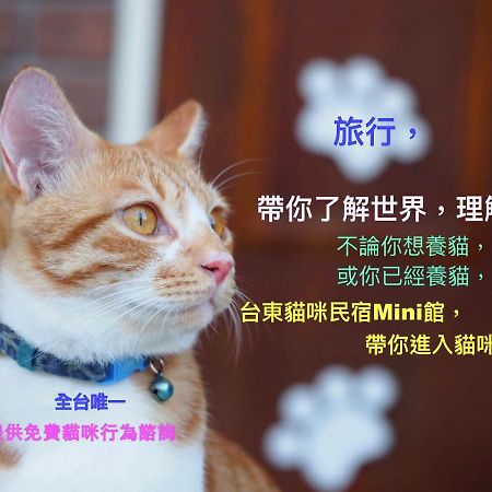 貓咪民宿mini館-中午即可入房 Taitung Экстерьер фото