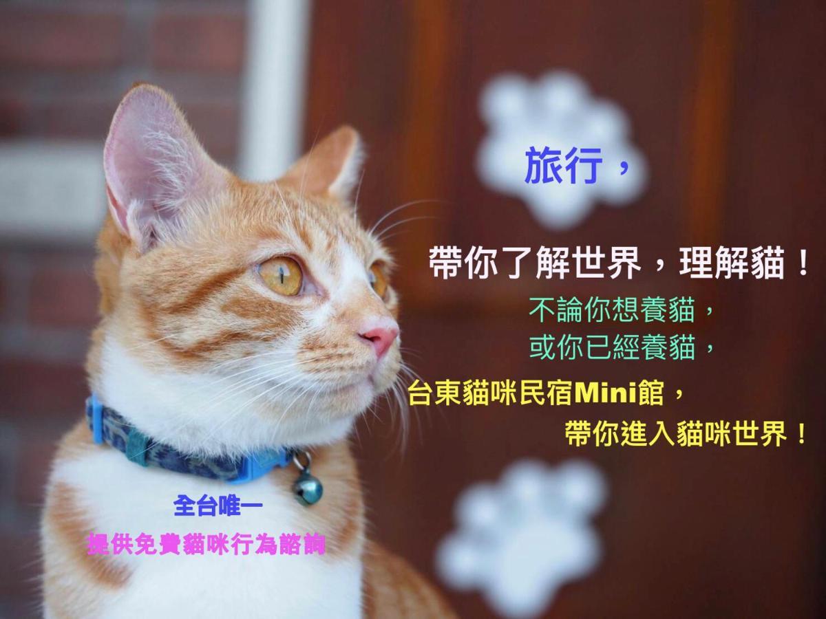 貓咪民宿mini館-中午即可入房 Taitung Экстерьер фото